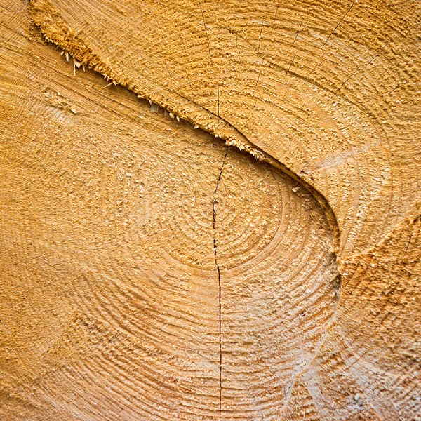 Texture en bois fissurée jaune clair — Photo