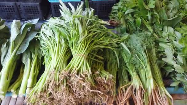Chou Vert Frais Haricots Persil Autres Légumes Sur Marché Asiatique — Video