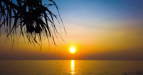 Timelapse Hermosa Puesta Sol Sobre Mar Océano Con Palmeras Cielo — Vídeo de stock