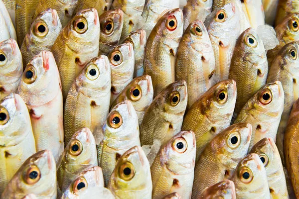 Mucchio Pesce Fresco Mercato Dei Frutti Mare Può Essere Utilizzato — Foto Stock