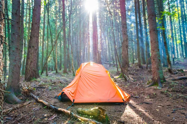 Tente Orange Dans Pinède Verte Avec Soleil Couchant Rayons Soleil — Photo