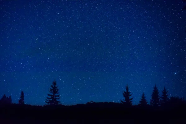 Lesní Borovice Krajina Pod Modrou Tmavou Noční Oblohou Mnoha Hvězdami — Stock fotografie