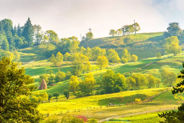 Natura Paesaggio Pascolo Campagna Colline Con Nebbia Nebbia Alberi Verdi — Foto Stock