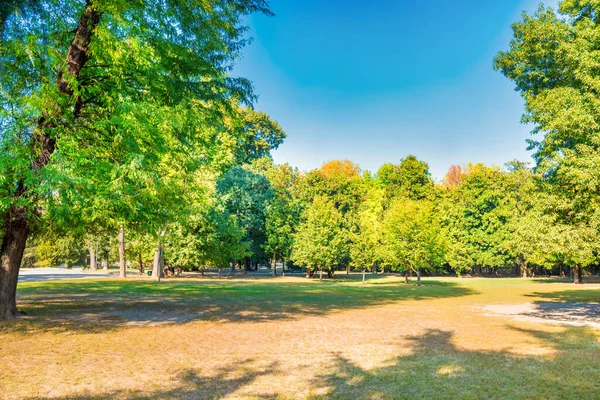 Park Miejski Zielonym Trawnikiem Dużymi Drzewami Odpoczynkiem — Zdjęcie stockowe