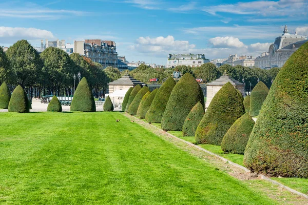 Güneşli Bir Günde Güzel Yeşil Çimenler Budanmış Çalılar Paris Fransa — Stok fotoğraf