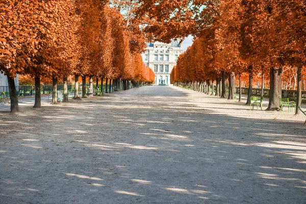 Allée Parc Avec Arbres Rouges Automne Dans Jardin Des Tuileries — Photo