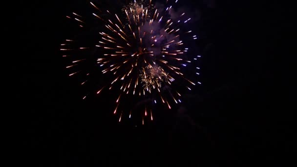 Coloridos Fuegos Artificiales Navideños Sobre Fondo Cielo Negro Nocturno Full — Vídeo de stock