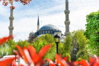 İstanbul, Türkiye 'de Çiçekli Mavi Cami Sultanı Ahmed Camii