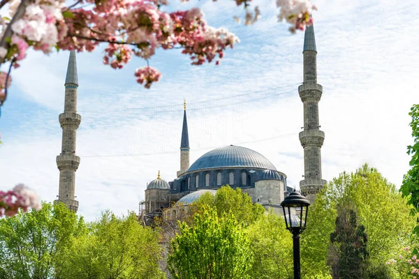 Błękitny Meczet Sułtana Ahmeda Kwiatami Istanbul Turcja — Zdjęcie stockowe