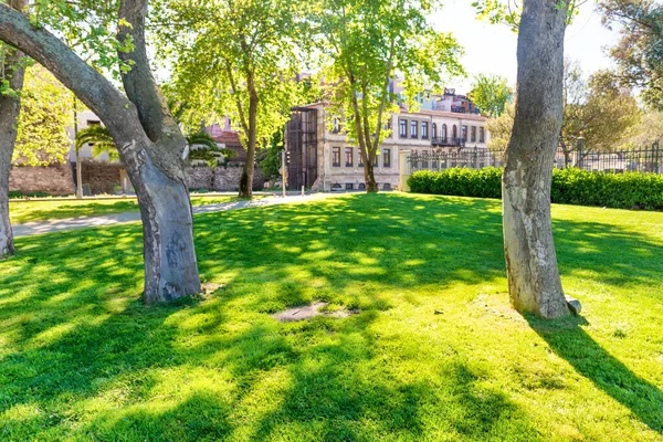 Yeşil Güneşli Parktaki Ağaç Yeşil Orman Manzarası — Stok fotoğraf