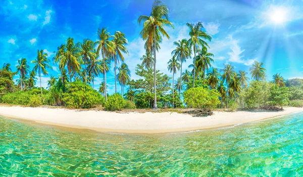 Πανόραμα Της Όμορφης Παραλίας Στον Παράδεισο Τροπικό Νησί Φοίνικες Καρύδας — Φωτογραφία Αρχείου