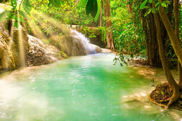 Tropisch Landschap Met Prachtig Watervalmeer Wild Regenwoud Met Groen Gebladerte — Stockfoto
