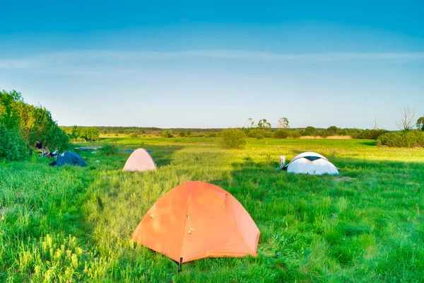 Tentenkamp Kamperen Bij Zonsondergang Groen Grasveld Bos — Stockfoto