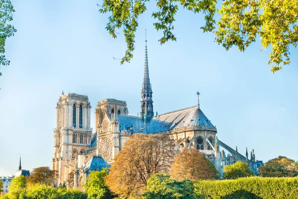 Notre Dame Paris Célèbre Cathédrale Ciel Bleu — Photo