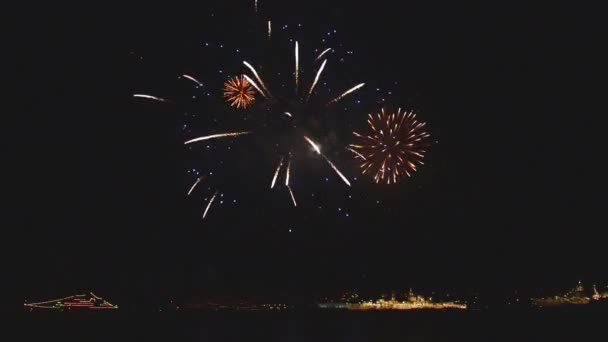 Fuegos artificiales coloridos — Vídeo de stock