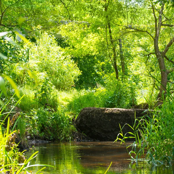 Ström i den tropiska skogen — Stockfoto