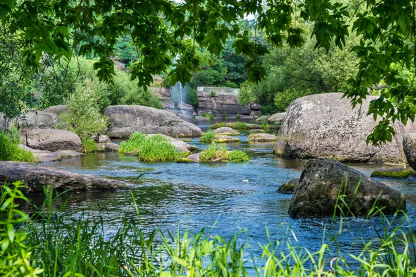 Flores de primavera en el jardín asiático — Foto de stock © smaglov