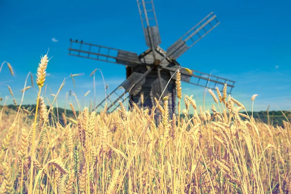 Mlýn na poli pšenice — Stock fotografie