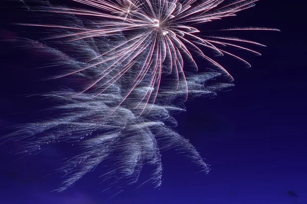 Kleurrijk vuurwerk op de zwarte lucht — Stockfoto