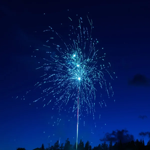 Fuochi d'artificio colorati sul cielo nero — Foto Stock