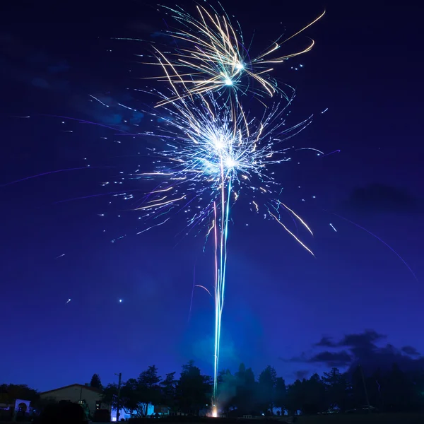 Colorful fireworks on the black sky — Stock Photo, Image