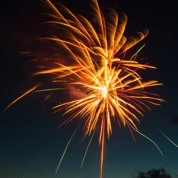 Colorful fireworks on the black sky — Stock Photo, Image