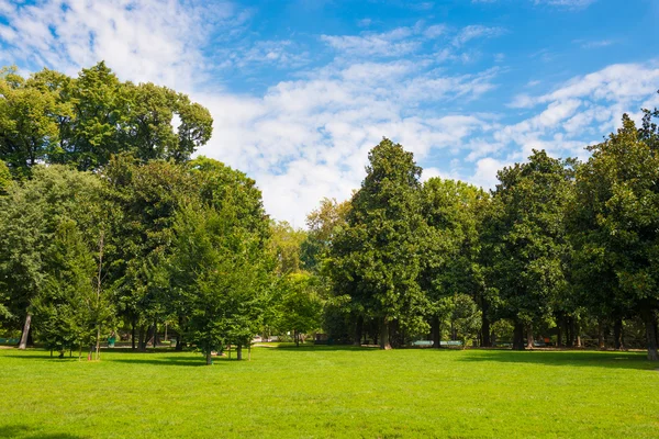 Prato verde con alberi — Foto Stock