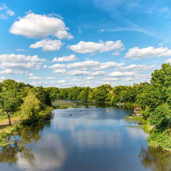 Forest on the lake — Stock Photo, Image