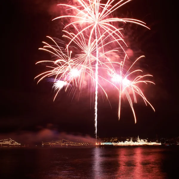 Fuegos artificiales de colores en el cielo negro — Foto de Stock