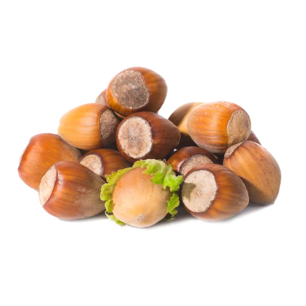 Pile of filbert nuts Stock Picture