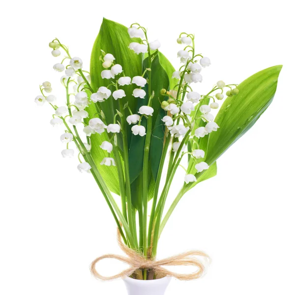 Lilies of the valley — Stock Photo, Image