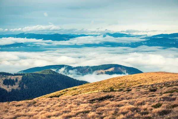 Blick vom Berg — Stockfoto