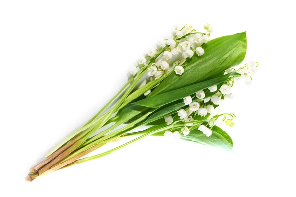 White Lilies of valley flowers — Stock Photo, Image