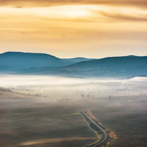 Nebeliger Weg durch Felder — Stockfoto