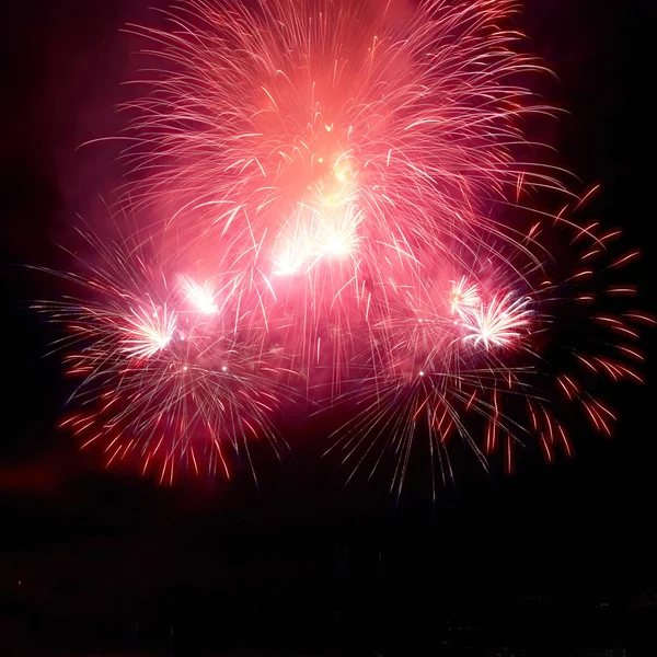 Colorful fireworks on black sky — Stock Photo, Image