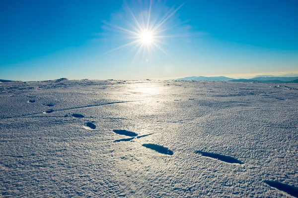 Pegadas na neve nas montanhas . — Fotografia de Stock