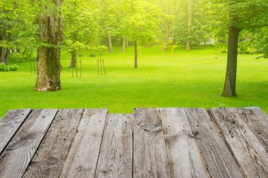 table on the  green spring park  background clipart
