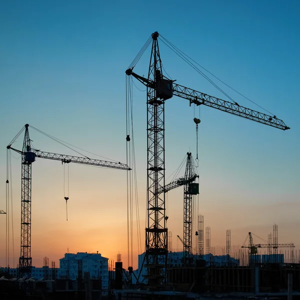 Silhouetten van kranen op de zonsondergang — Stockfoto