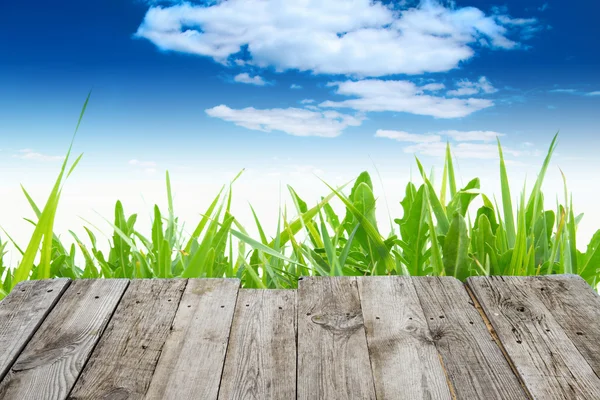 Mesa sobre fondo de primavera verde — Foto de Stock