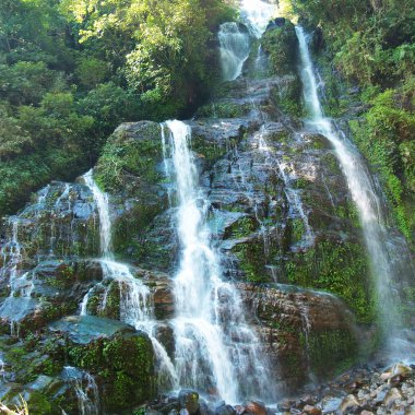 Ormanda güzel bir şelale