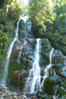 Ormanda güzel bir şelale