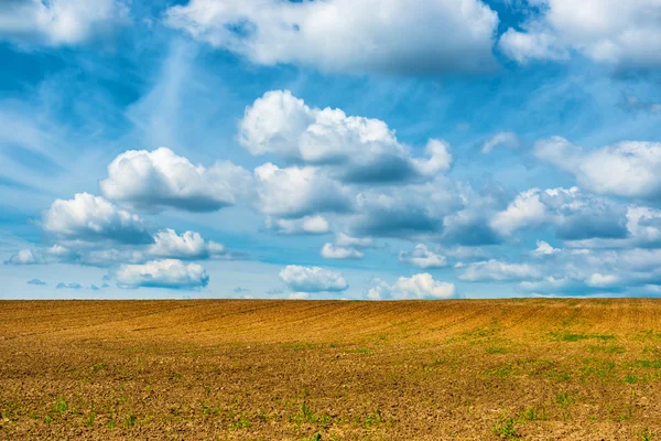 Zemědělství pole a modré nebe — Stock fotografie