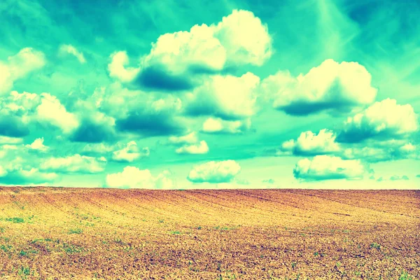 Zemědělství pole a modré nebe — Stock fotografie