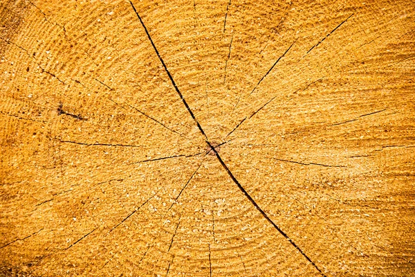 Struttura in legno incrinato giallo chiaro — Foto Stock