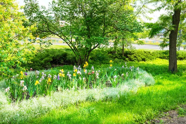 Zielony park miejski — Zdjęcie stockowe