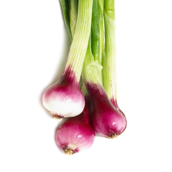 Bunch of young onions — Stock Photo, Image