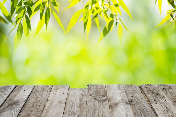 Verde e amarelo manchas de luz fundo — Fotografia de Stock