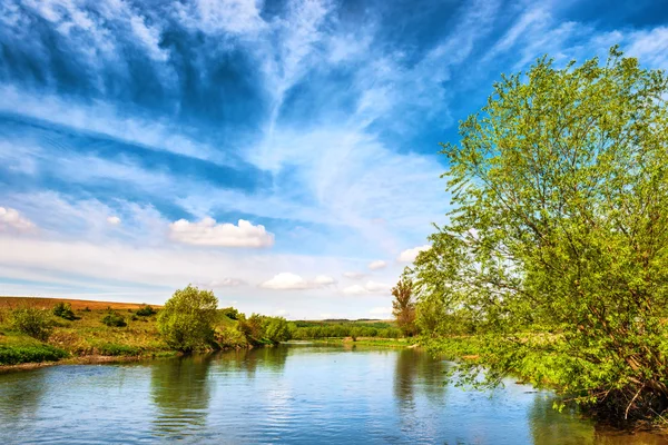 Vista a las orillas del río con árboles verdes — Foto de Stock