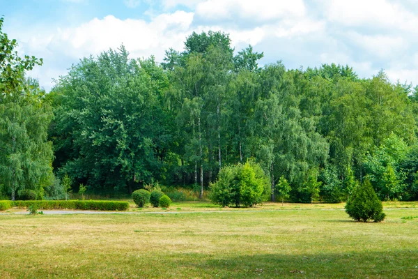 Ağaçları ve otları olan yeşil bir park — Stok fotoğraf