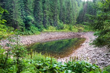Göl temiz su ile dağlarda